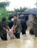 中남부 홍수에서 구조된 '스마일 돼지' 온라인서 인기폭발