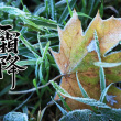 [절기를 말하다](16) 상강(霜降), 가을풍경은 소슬하다
