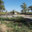 카자흐스탄에 방치된 홍범도 장군 묘소