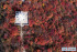 허베이 사허: 단풍으로 물든 타이항산, 가을풍경 그림같아