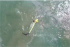 드론, 물에 빠진 사람 구했다…세계 첫 사례