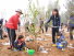 베이징 한국인들 한중우호림서 식목행사 가져