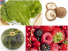 체내 염증을 막아주는 5가지 식품