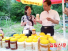 ‘중국 피나무꿀 고향’에 가서 ‘국민의 좋은 꿀’찾다