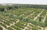 신강 시골 마을, 환경 우세 빌어 석류 재배로 농민수입 증대